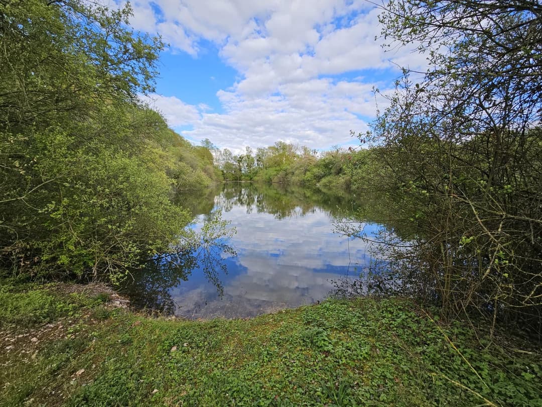 Étangs privés au cœur de la Vallée du Loir 
