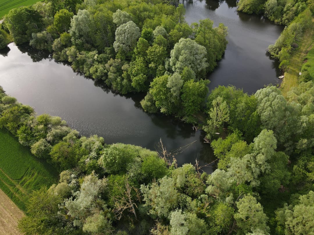 Étangs privés au cœur de la Vallée du Loir 