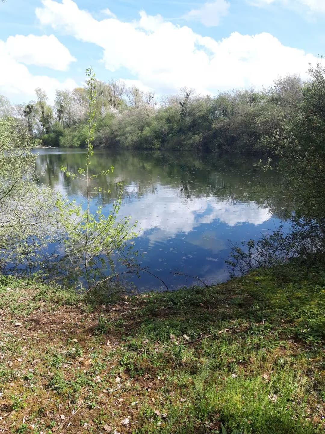 Étangs privés au cœur de la Vallée du Loir 