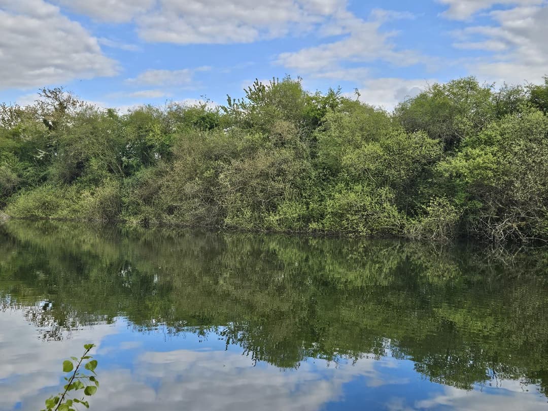 Étangs privés au cœur de la Vallée du Loir 
