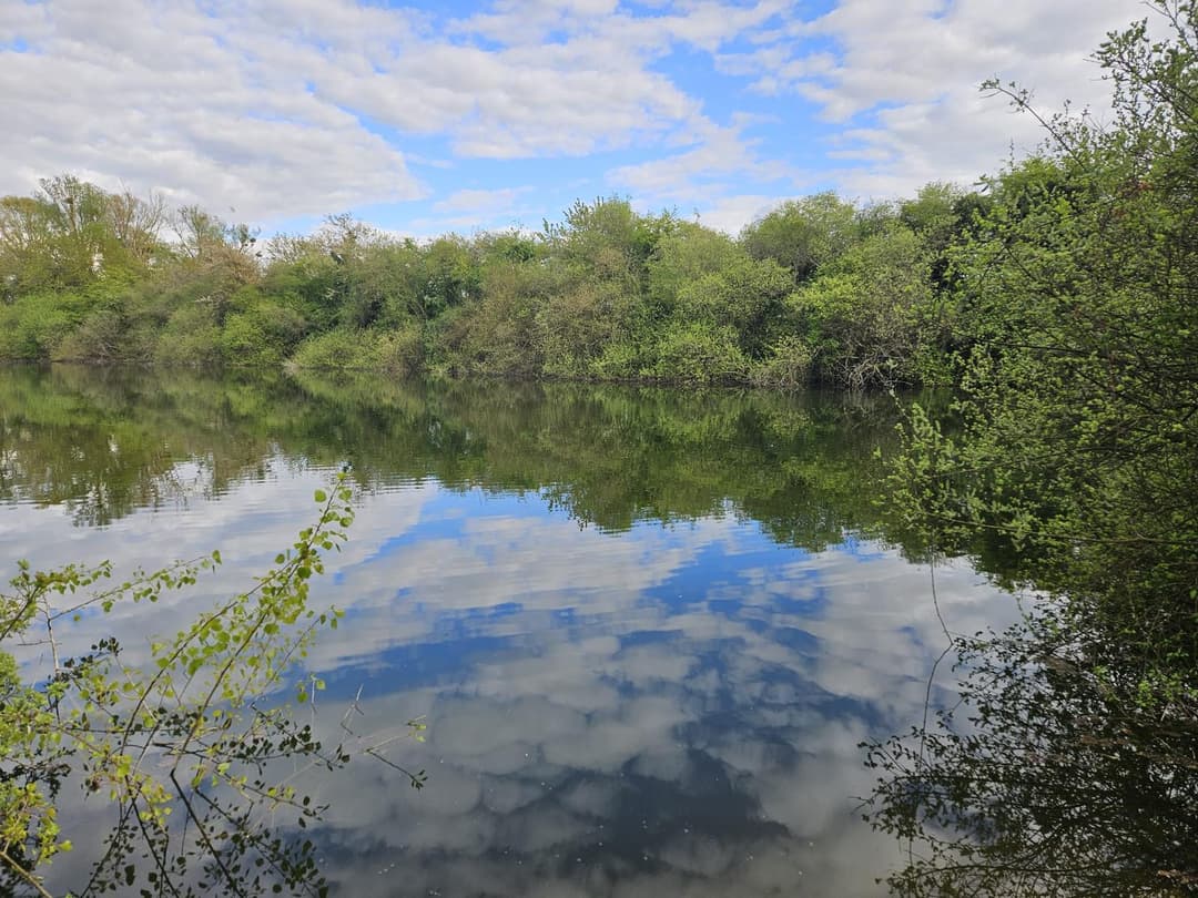 Étangs privés au cœur de la Vallée du Loir 