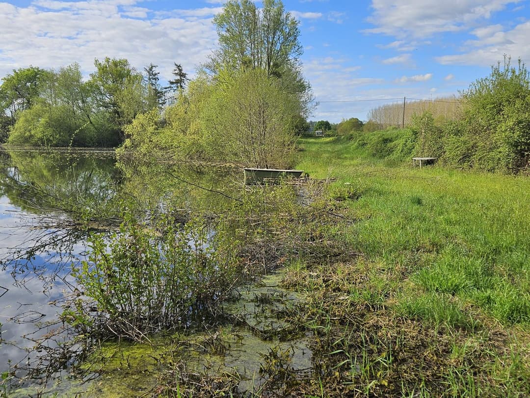 Étangs privés au cœur de la Vallée du Loir 
