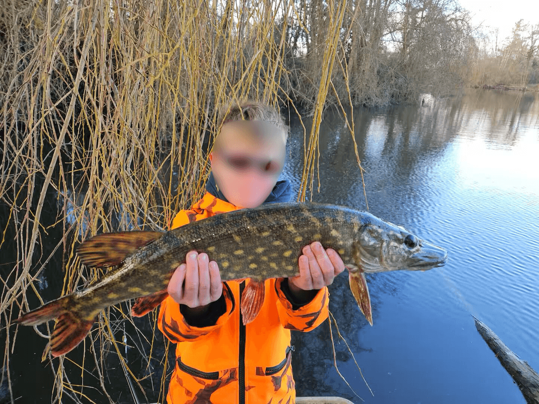 Étangs privés au cœur de la Vallée du Loir 