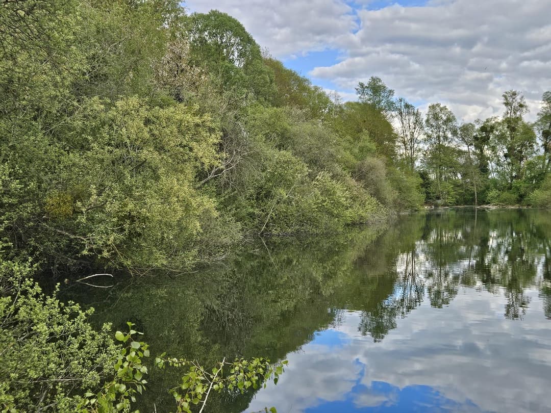 Étangs privés au cœur de la Vallée du Loir 