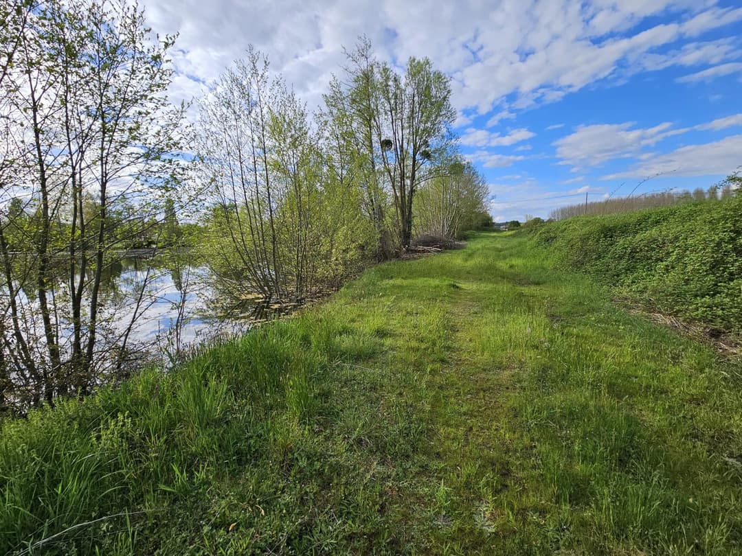 Étangs privés au cœur de la Vallée du Loir 