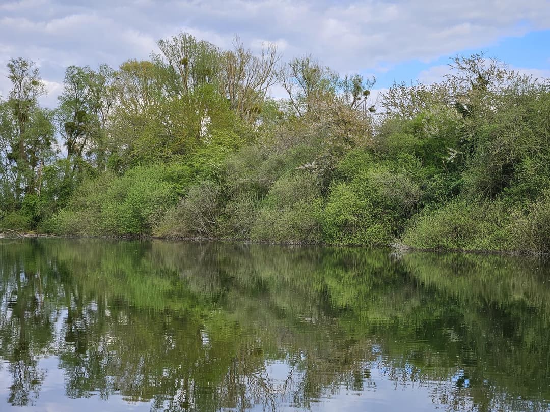 Étangs privés au cœur de la Vallée du Loir 