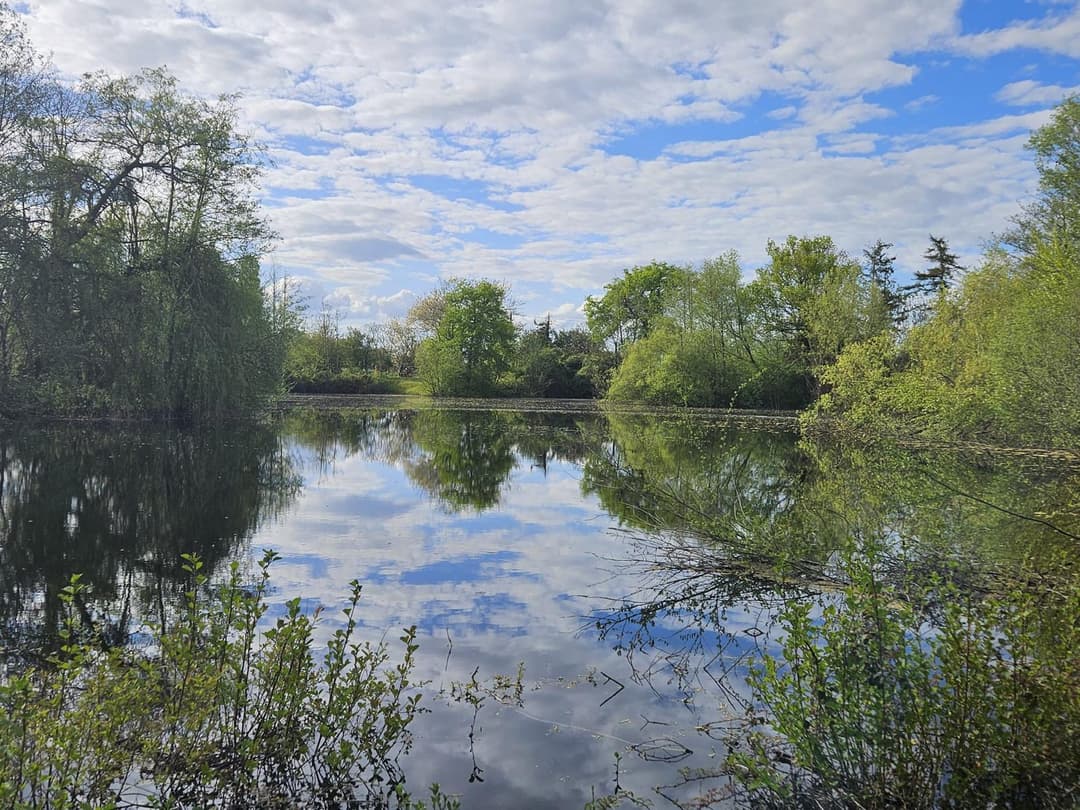 Étangs privés au cœur de la Vallée du Loir 