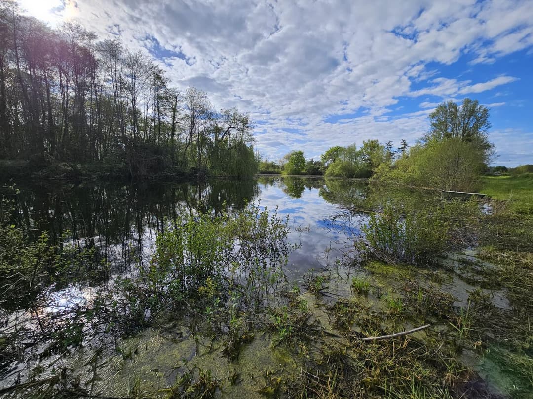 Étangs privés au cœur de la Vallée du Loir 