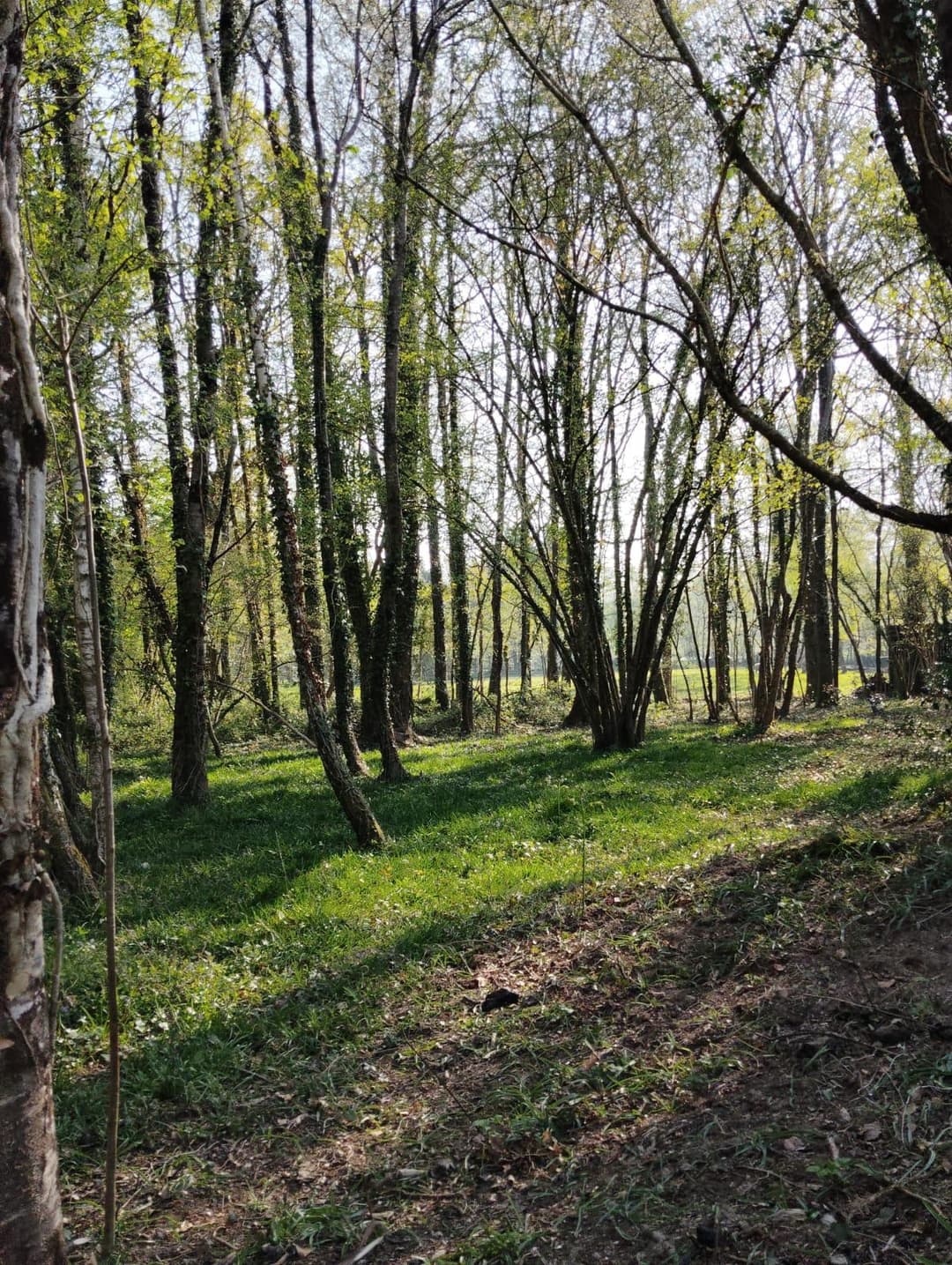 Étang privée pour du camping 