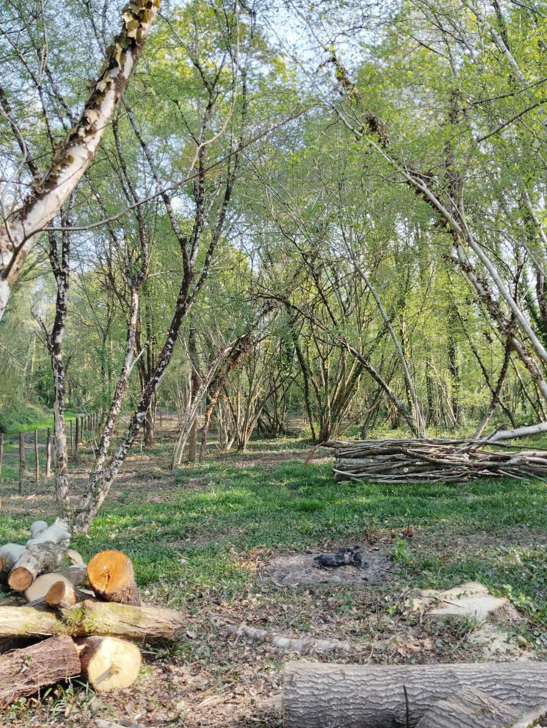 Étang privée pour du camping 