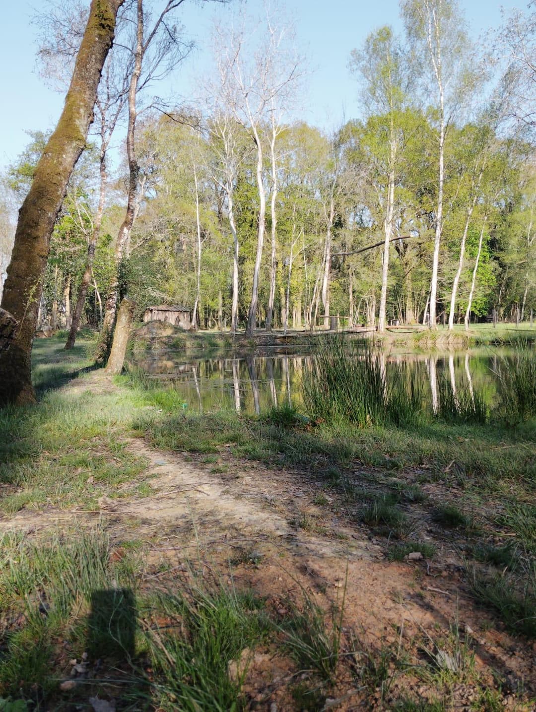 Étang privée pour du camping 