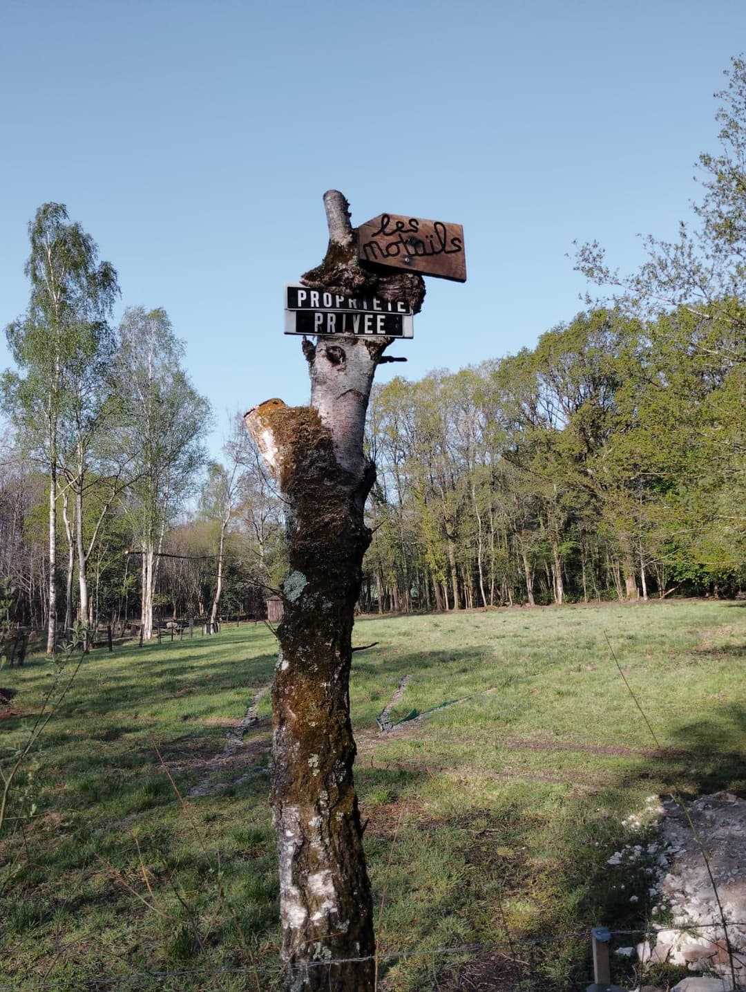Étang privée pour du camping 