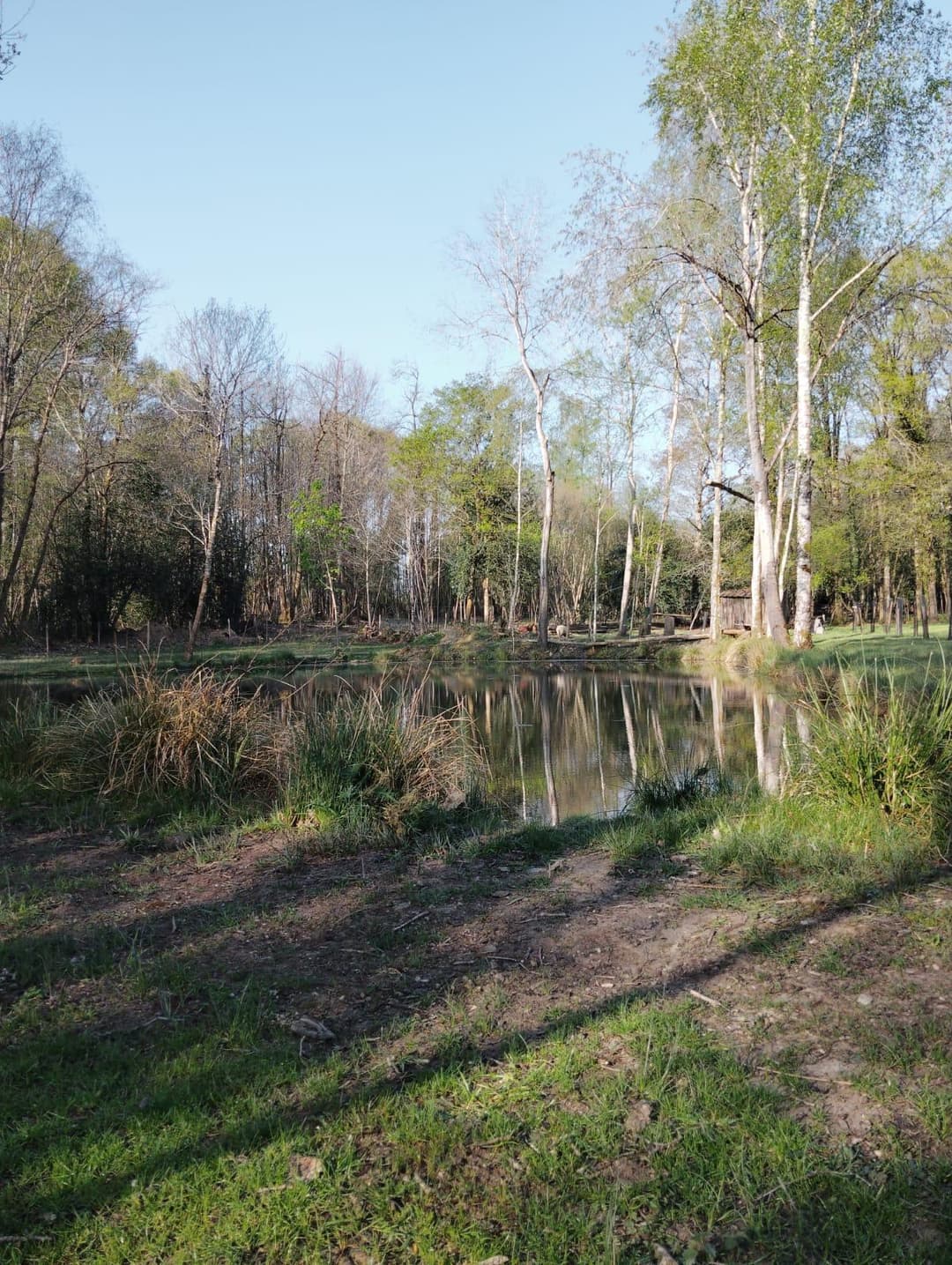 Étang privée pour du camping 