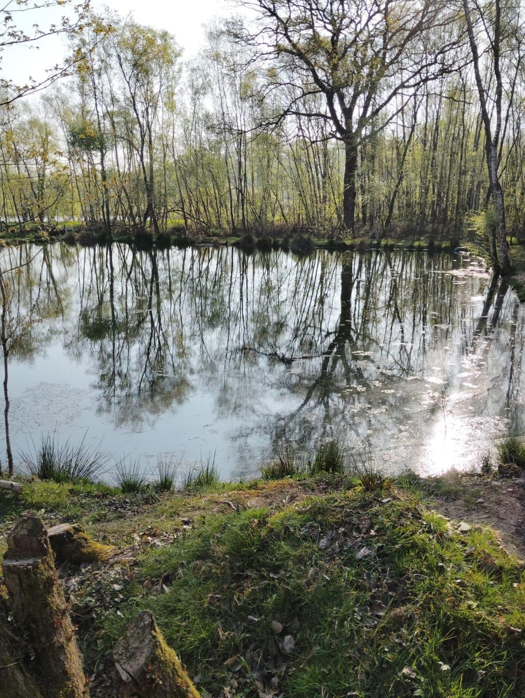 Étang privée pour du camping 