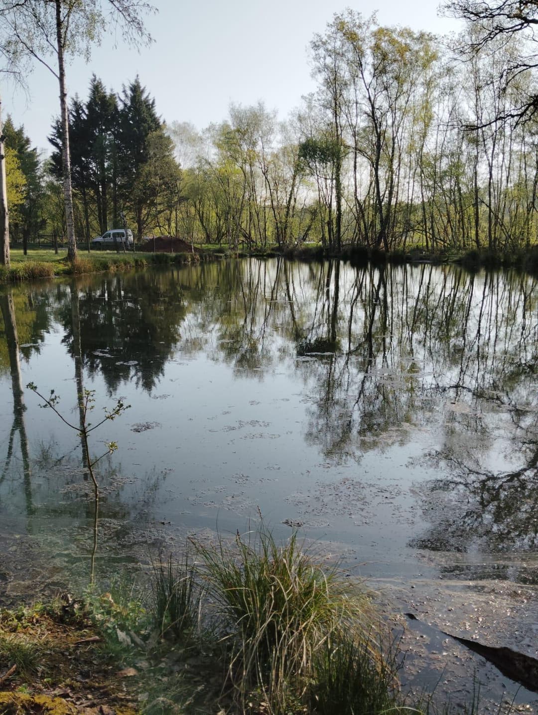Étang privée pour du camping 