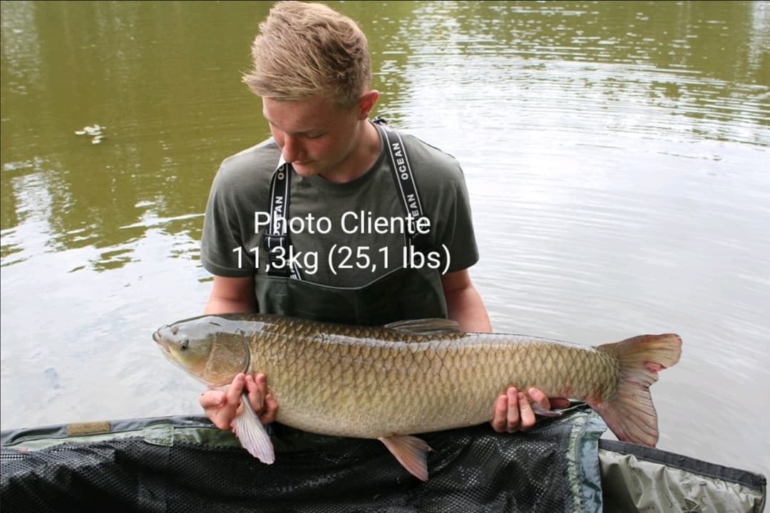 Un étang familial pour une journée détente et initiation à la pêche