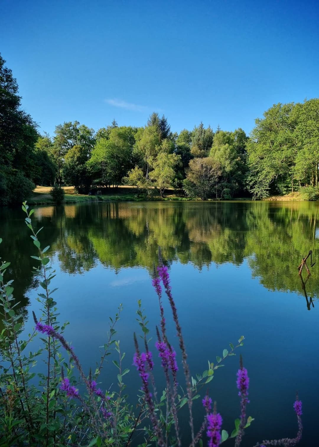 Deux étangs de pêche avec hébergement en Dordogne 