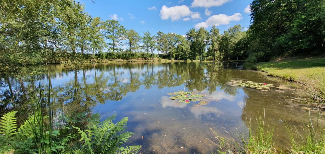 Deux étangs de pêche avec hébergement en Dordogne 