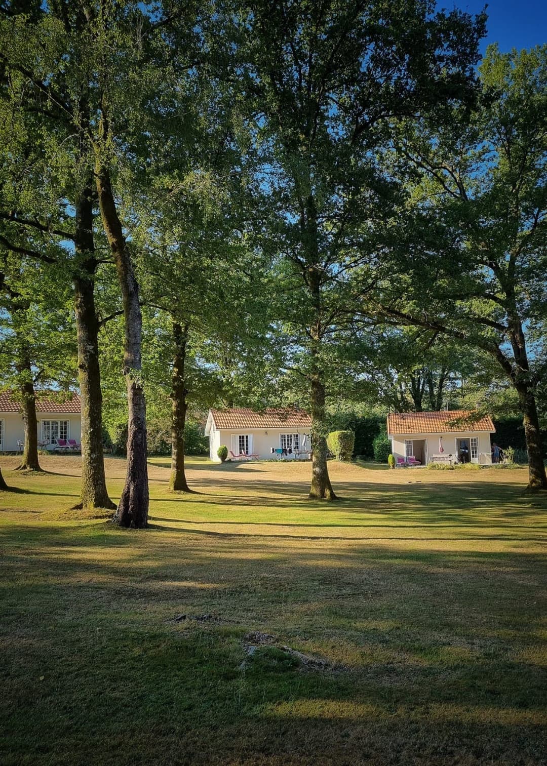 Deux étangs de pêche avec hébergement en Dordogne 