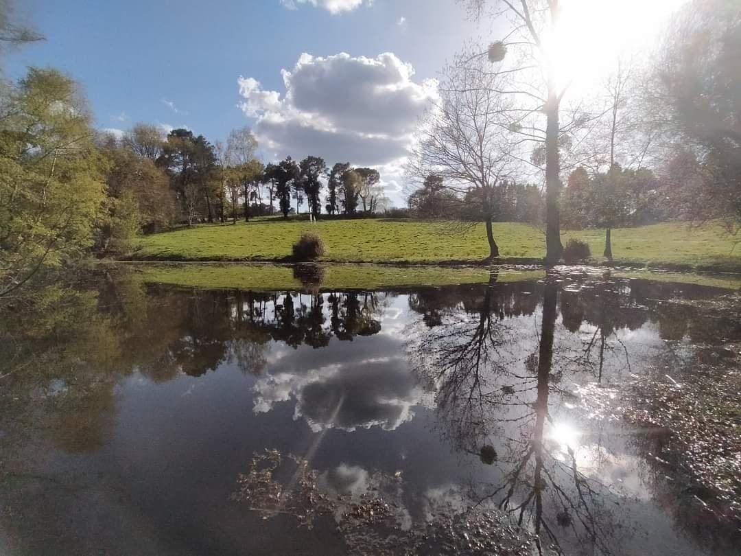 Etang familiale pour se ressourcer en pleine campagne 