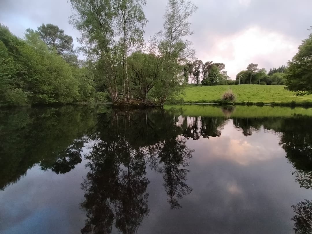 Etang familiale pour se ressourcer en pleine campagne 