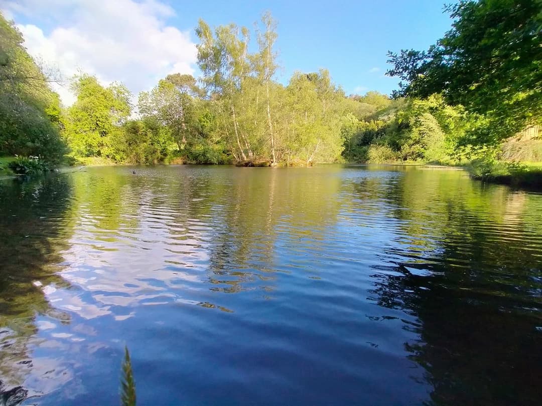 Etang familiale pour se ressourcer en pleine campagne 