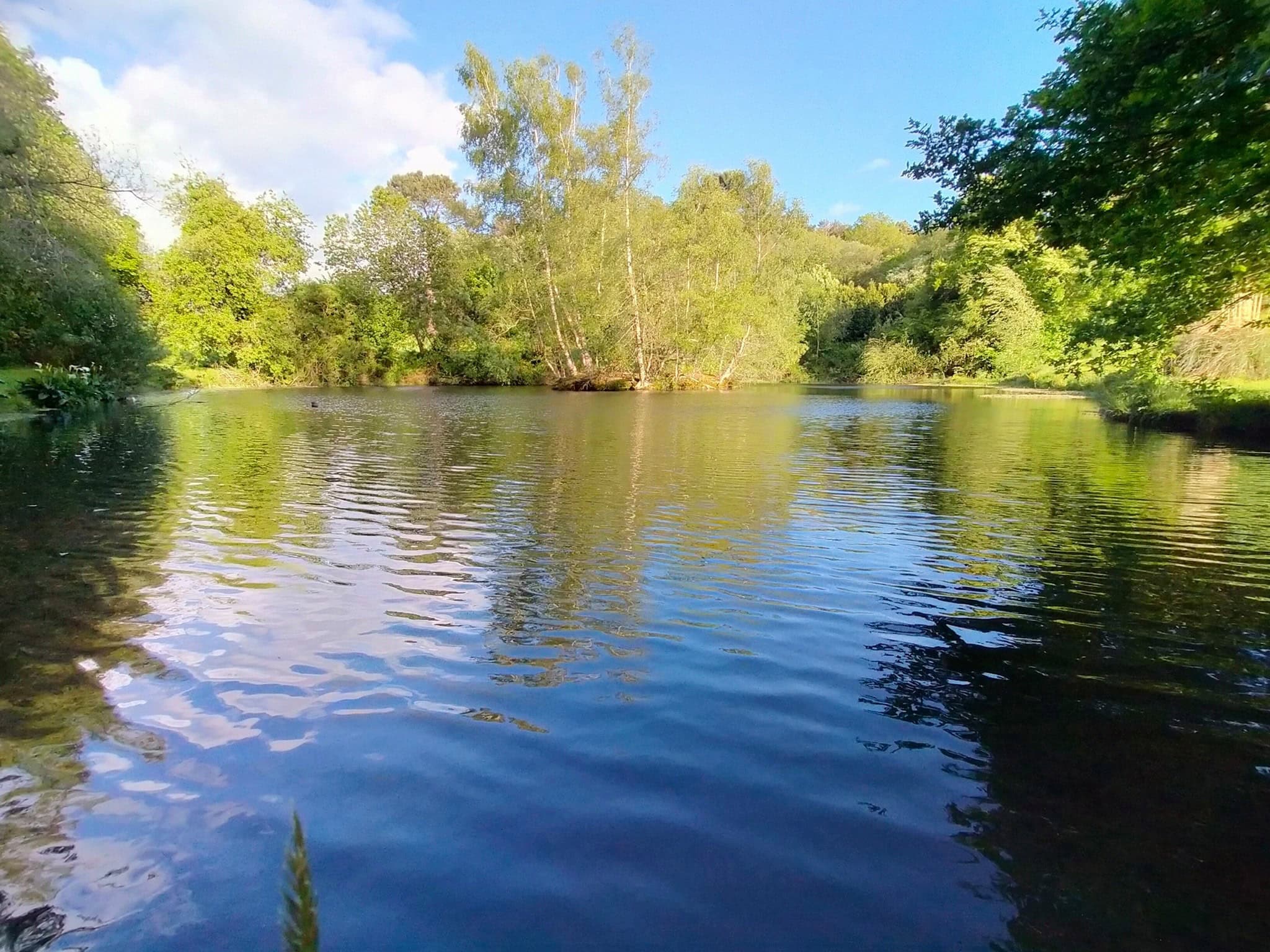Etang familiale pour se ressourcer en pleine campagne 