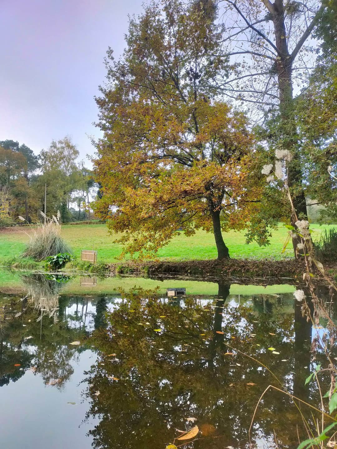 Etang familiale pour se ressourcer en pleine campagne 