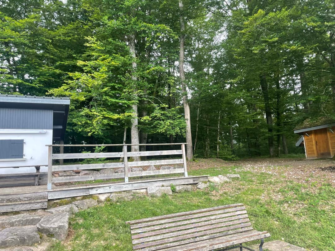 Étang au milieu de la forêt avec chalet 