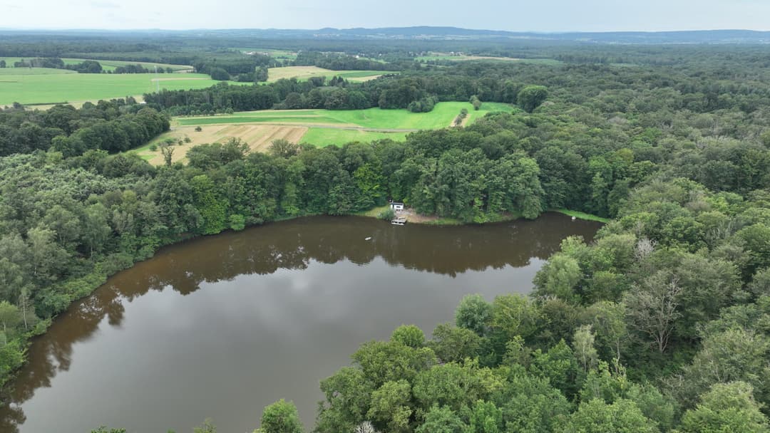 Étang au milieu de la forêt avec chalet 