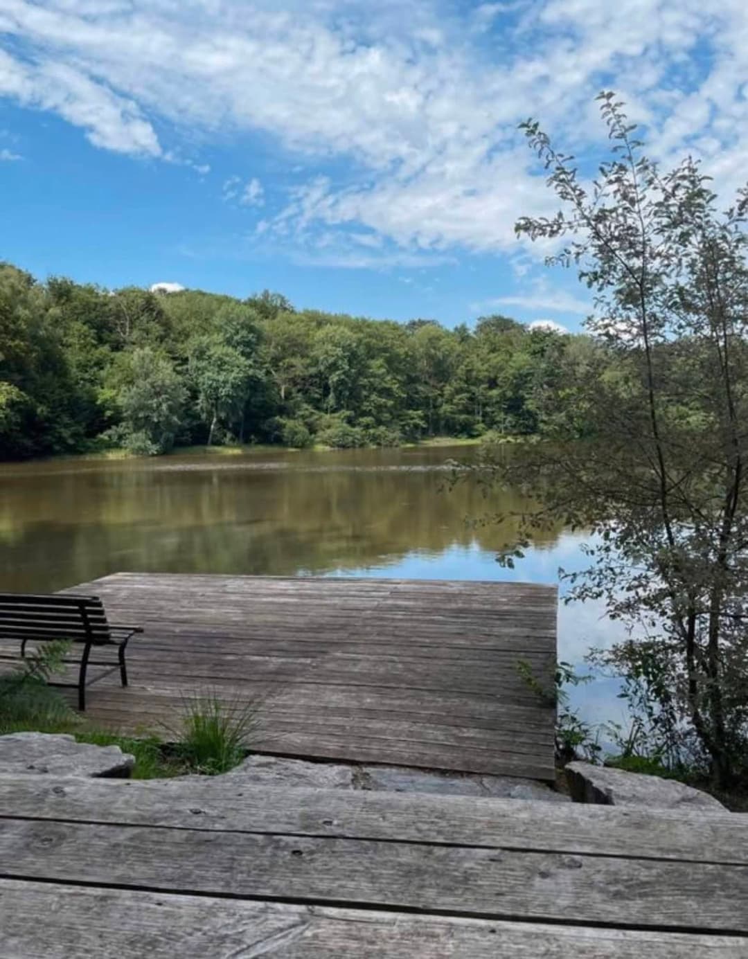 Étang au milieu de la forêt avec chalet 