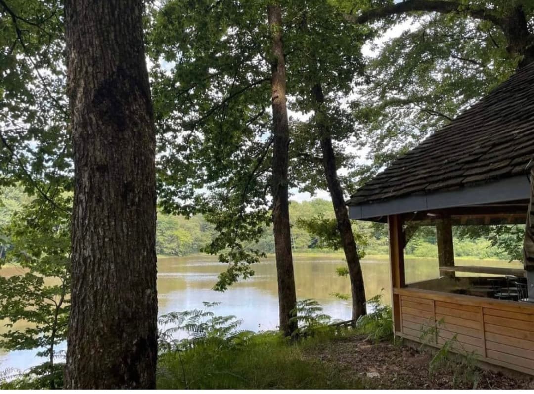 Étang au milieu de la forêt avec chalet 