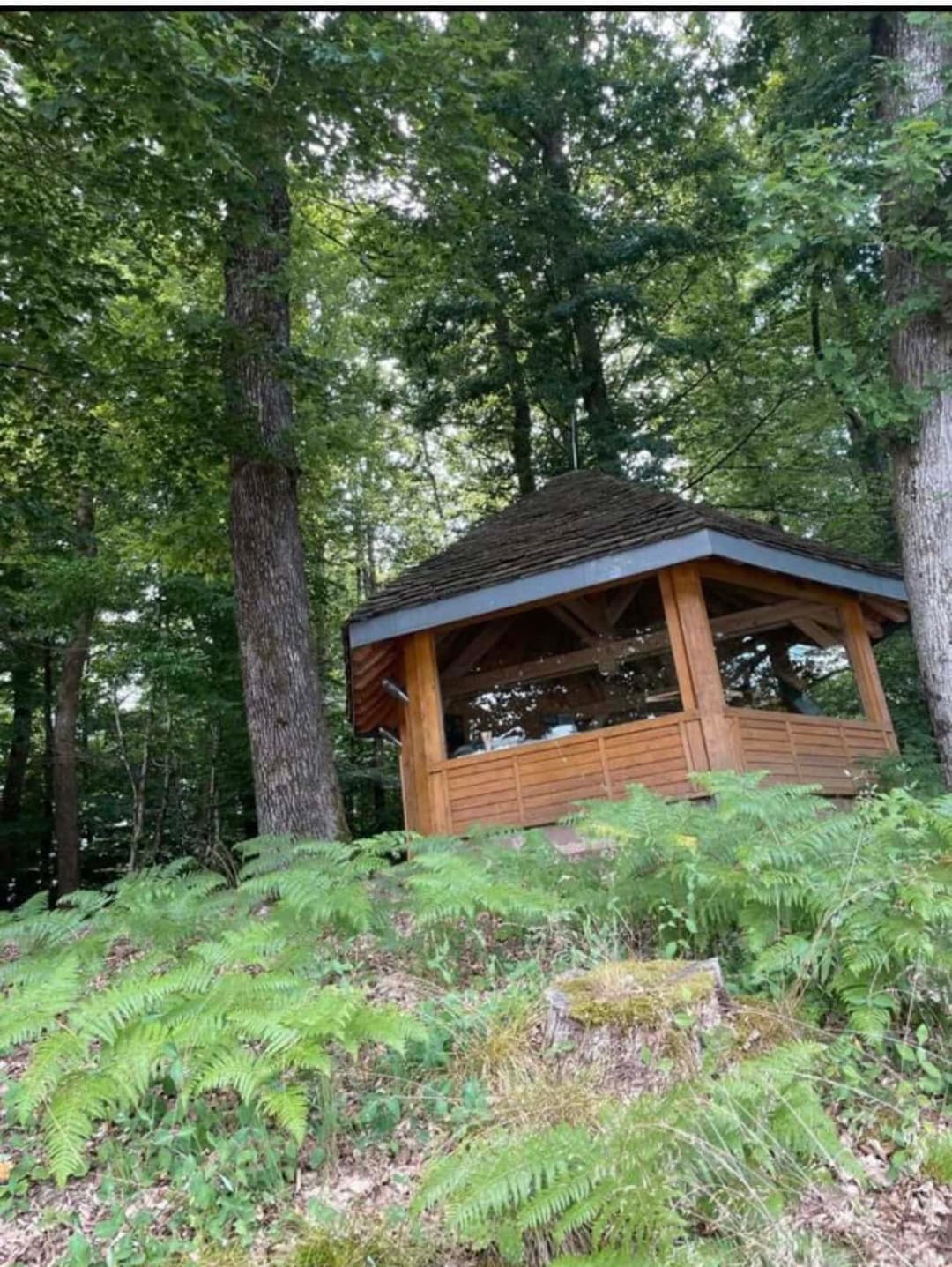 Étang au milieu de la forêt avec chalet 