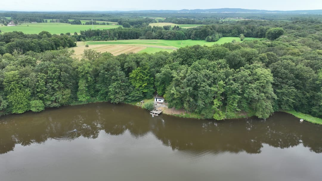 Étang au milieu de la forêt avec chalet 
