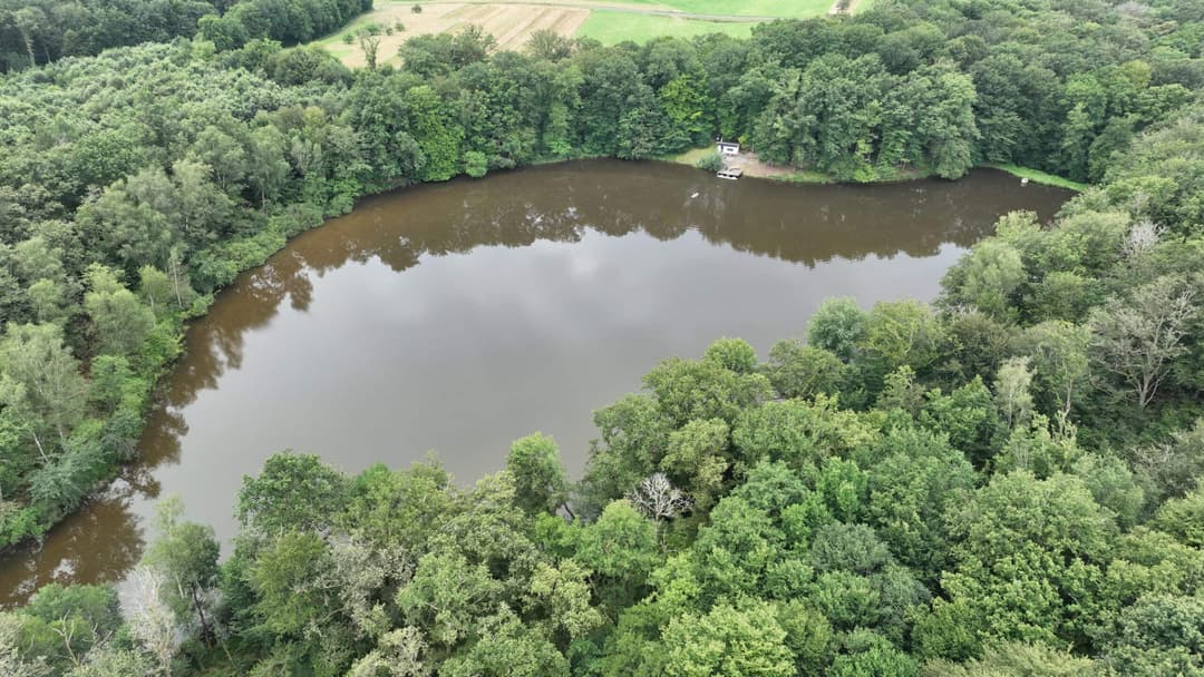 Étang au milieu de la forêt avec chalet 