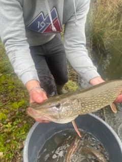 Étang à louer dans les Hauts-de-France
