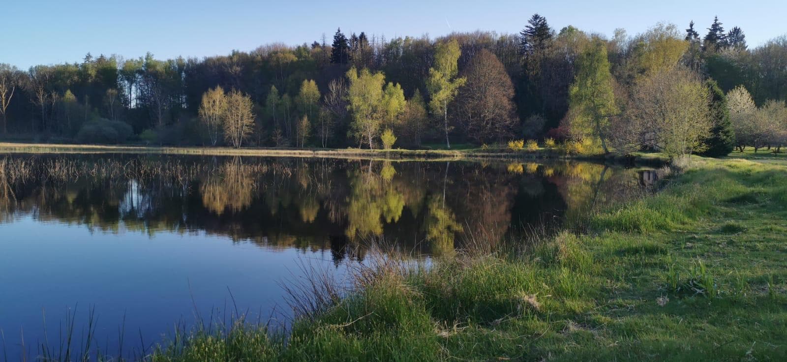Étang privé et maison tout équipée en Haute-Saône 