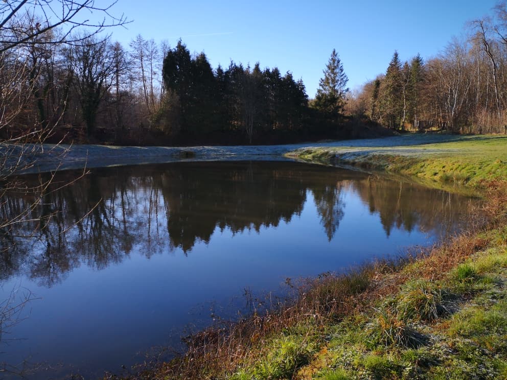 Havre de paix pour les pêcheurs et les amoureux de la nature 