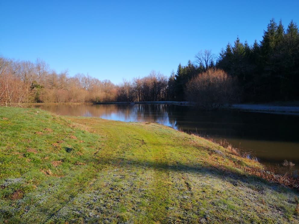 Havre de paix pour les pêcheurs et les amoureux de la nature 