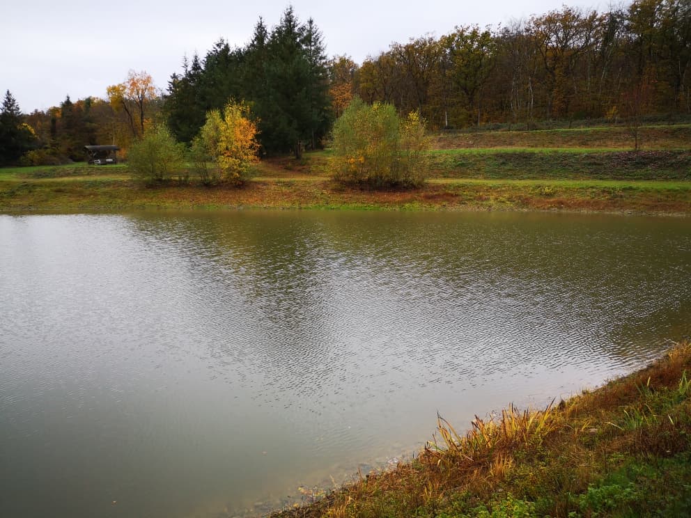 Havre de paix pour les pêcheurs et les amoureux de la nature 