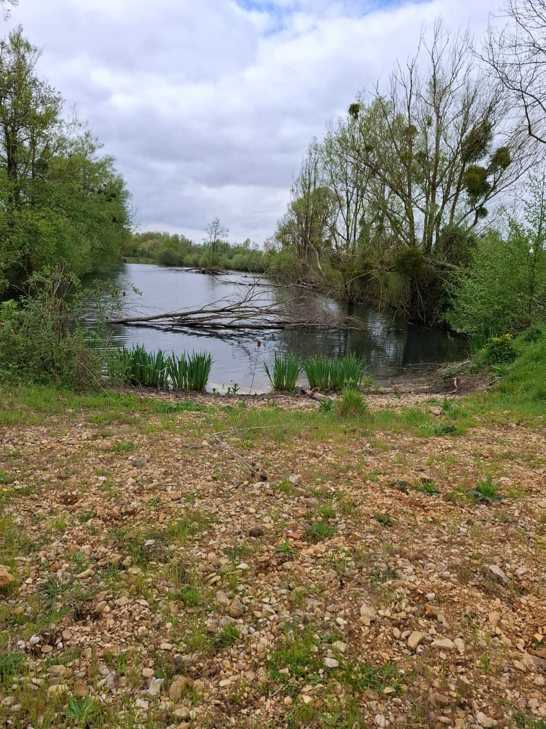 Location étang privé avec accès à une bordure de rivière à 10 min de Poitiers 