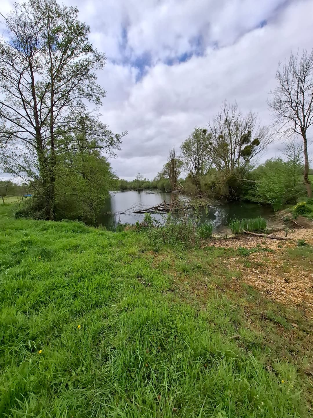 Location étang privé avec accès à une bordure de rivière à 10 min de Poitiers 