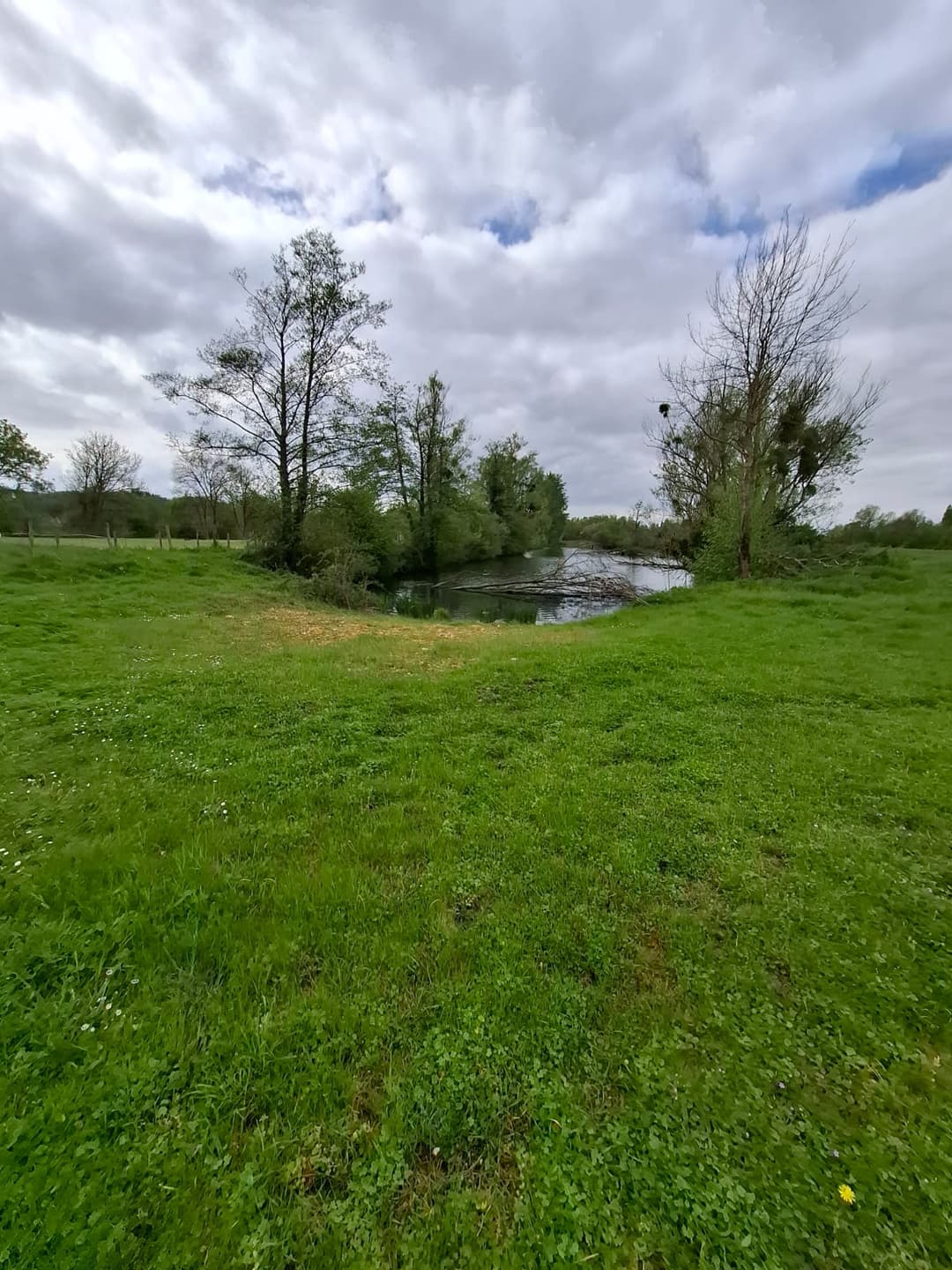 Location étang privé avec accès à une bordure de rivière à 10 min de Poitiers 