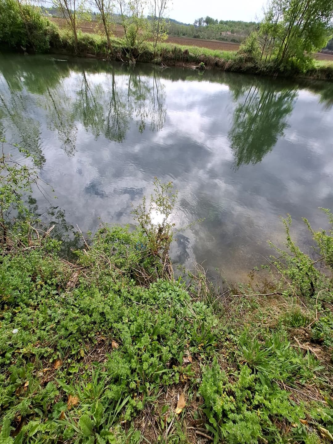 Location étang privé avec accès à une bordure de rivière à 10 min de Poitiers 