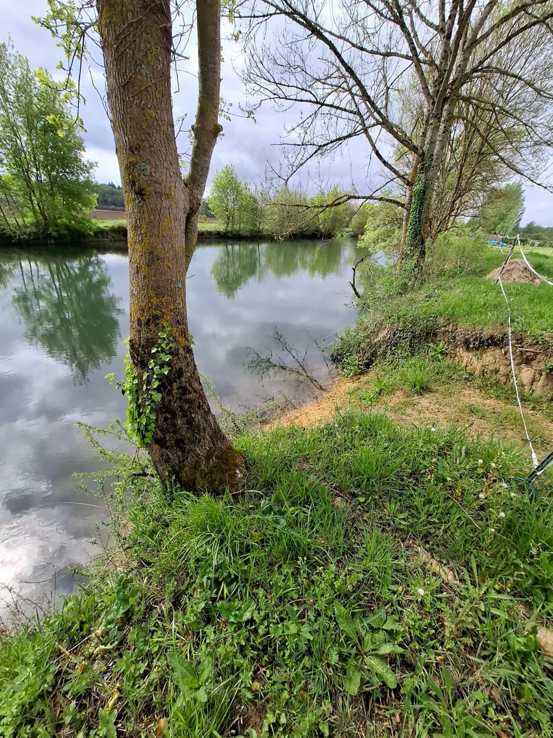 Location étang privé avec accès à une bordure de rivière à 10 min de Poitiers 
