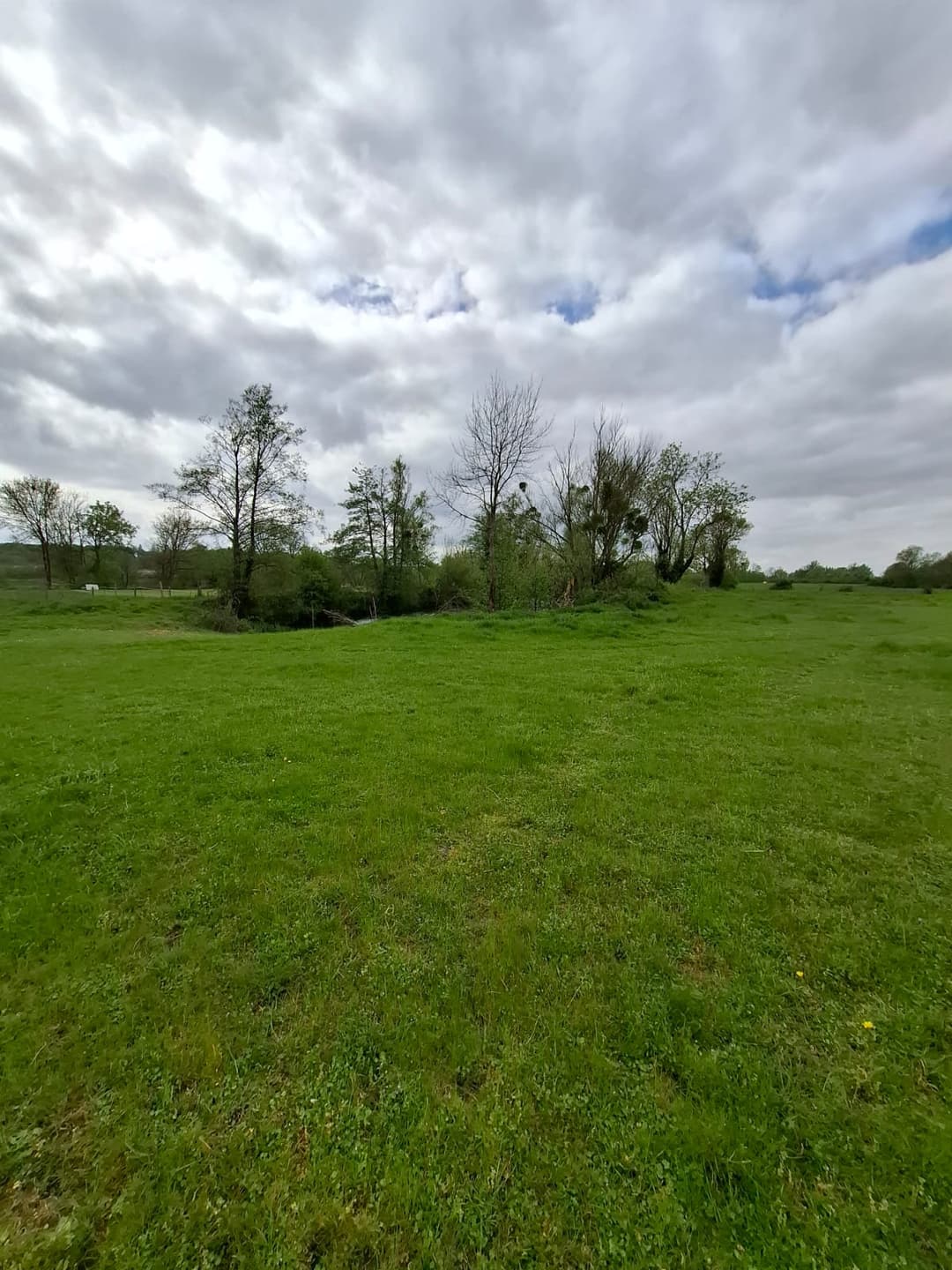 Location étang privé avec accès à une bordure de rivière à 10 min de Poitiers 