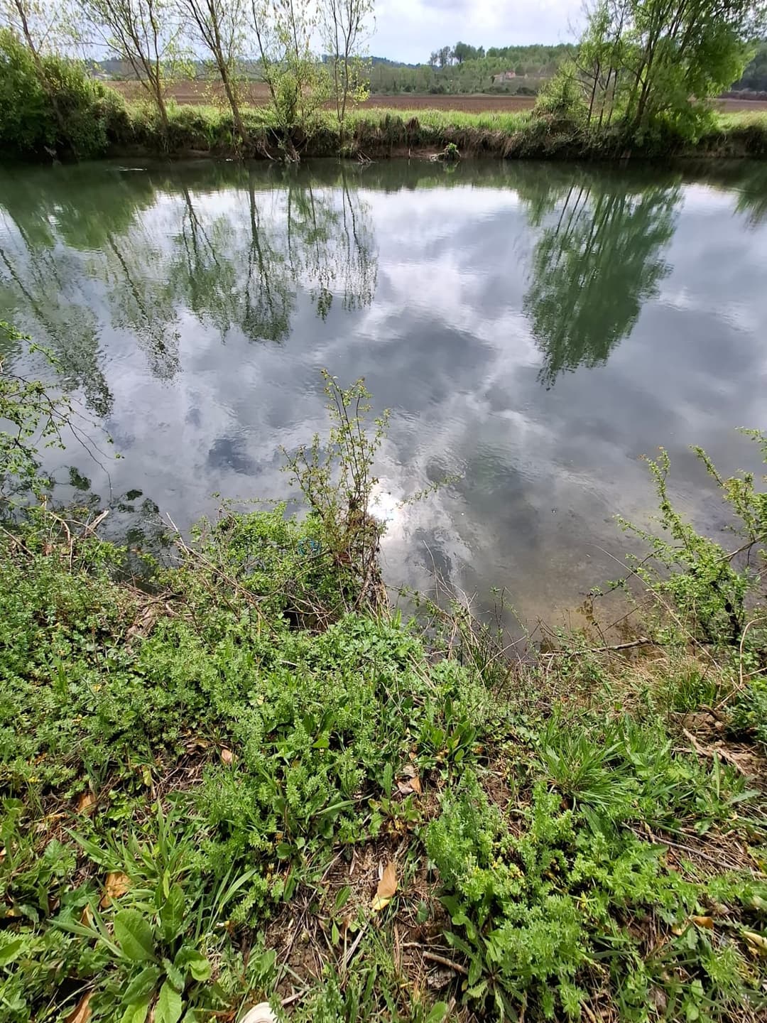 Location étang privé avec accès à une bordure de rivière à 10 min de Poitiers 