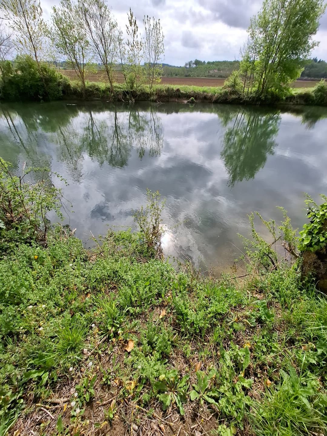Location étang privé avec accès à une bordure de rivière à 10 min de Poitiers 