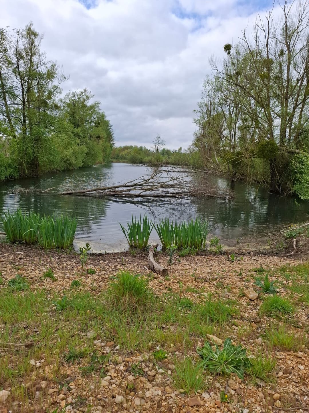 Location étang privé avec accès à une bordure de rivière à 10 min de Poitiers 