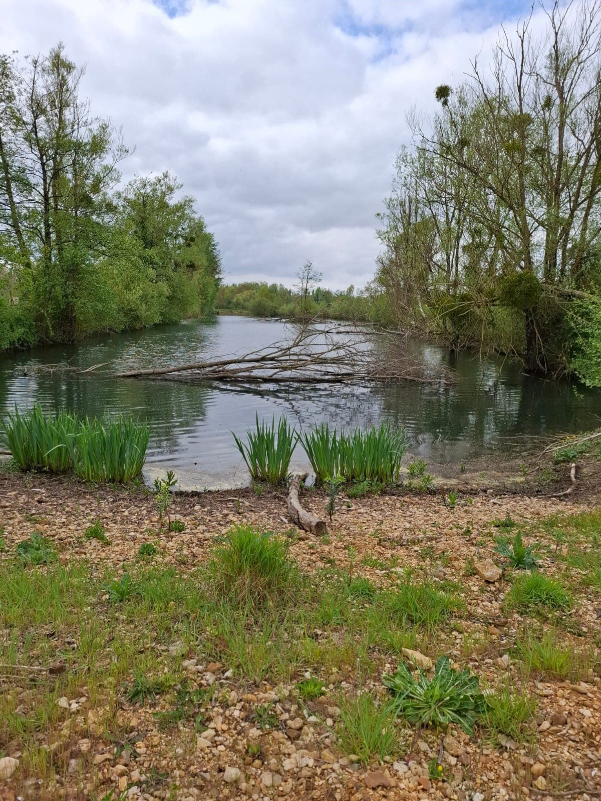 Location étang privé avec accès à une bordure de rivière à 10 min de Poitiers 